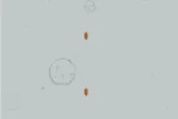 Classic Air Battle